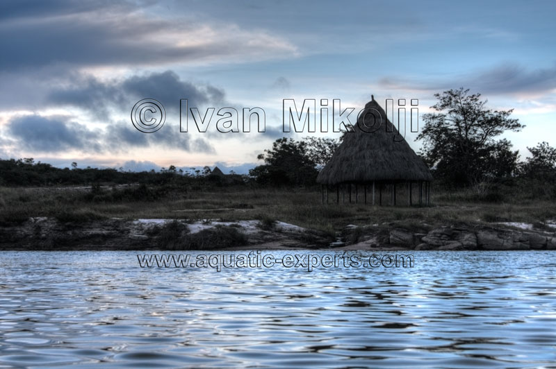 coleccion de fotos de venezuela